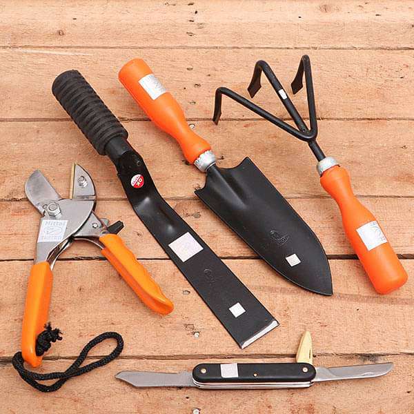 🧤 Basic Gardening Tools