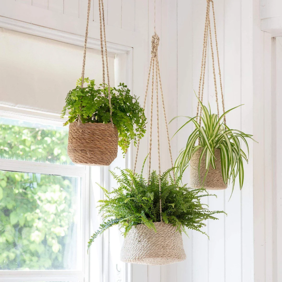 🌿 Hanging Planters